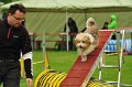 2013-05-19 um 09-41-55 (1)